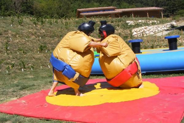 Deux participants en costumes de sumo s'affrontent sur un tapis, devant un chalet du domaine