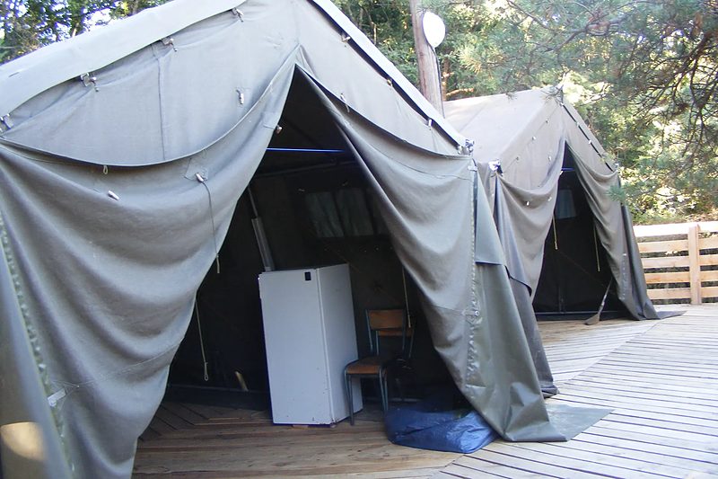 Le bivouac en forêt