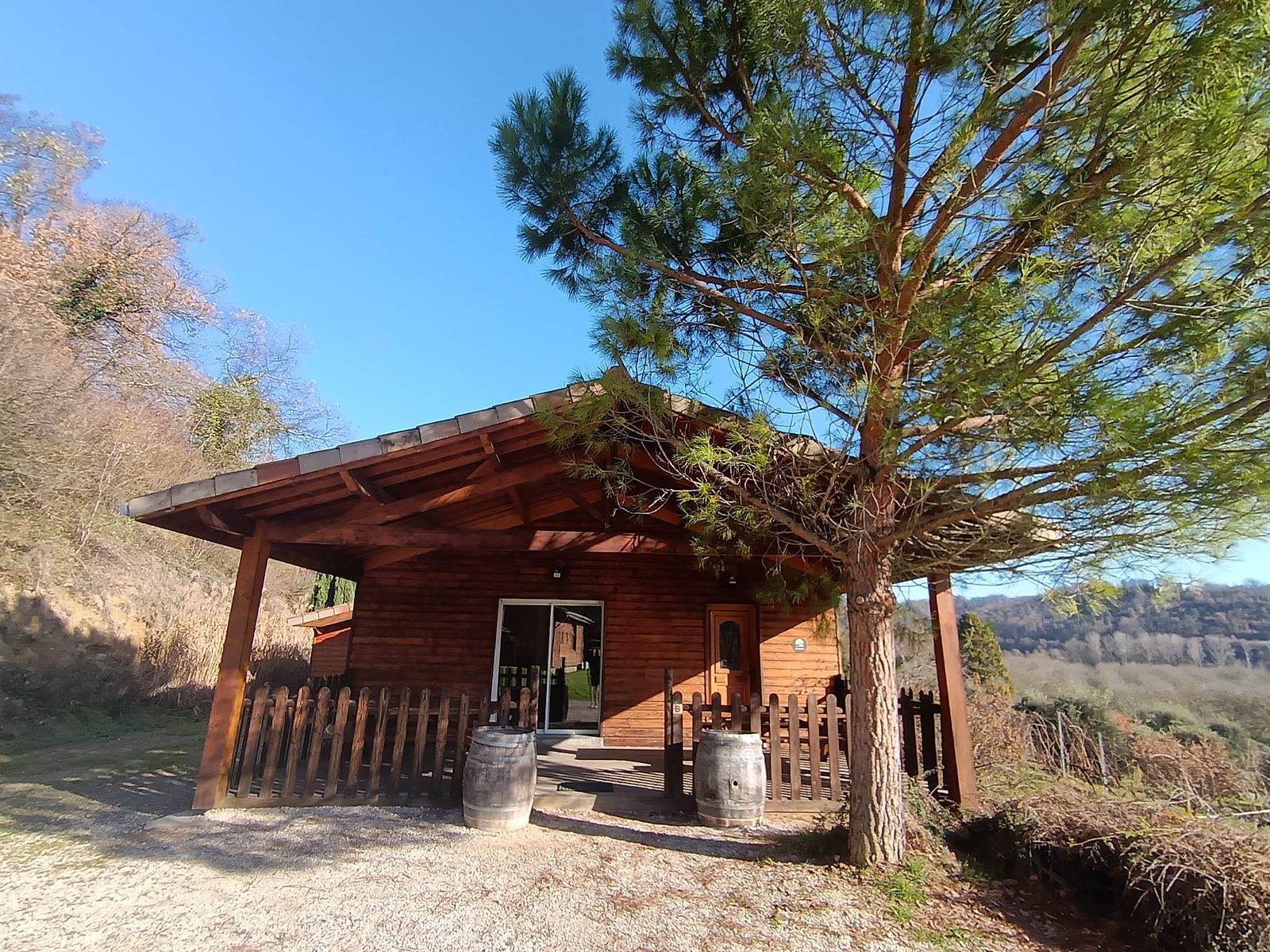 Le chalet Douglas en bois, sa terrasse couverte et un grand pin, sous le ciel bleu