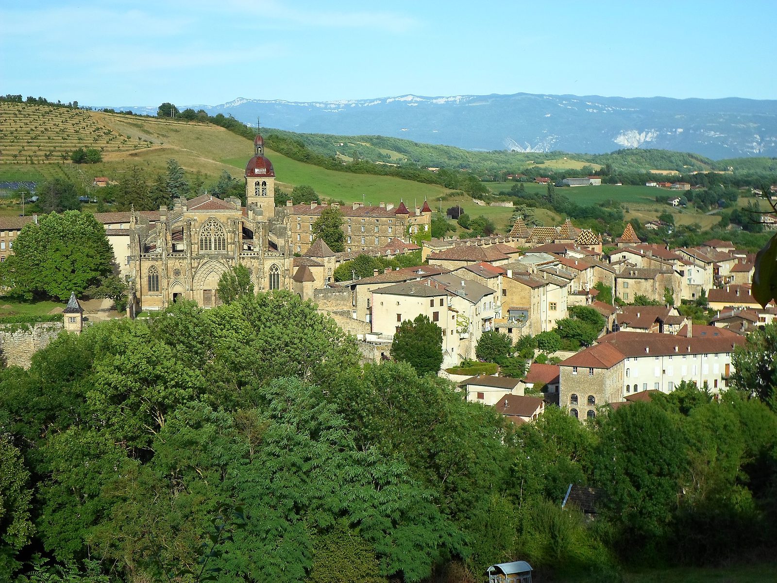 Le village de Saint-Antoine-l'Abbaye et son abbatiale, avec le Vercors au fond