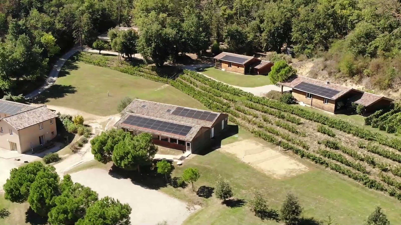 Le domaine vu du ciel : les gîtes et les chalets au milieu des vignes, en lisière de forêt