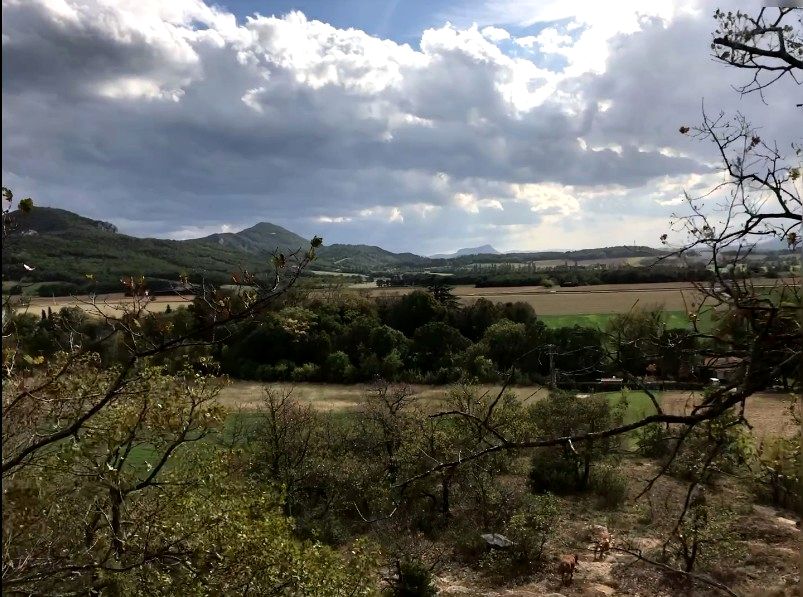 Les collines autour du domaine