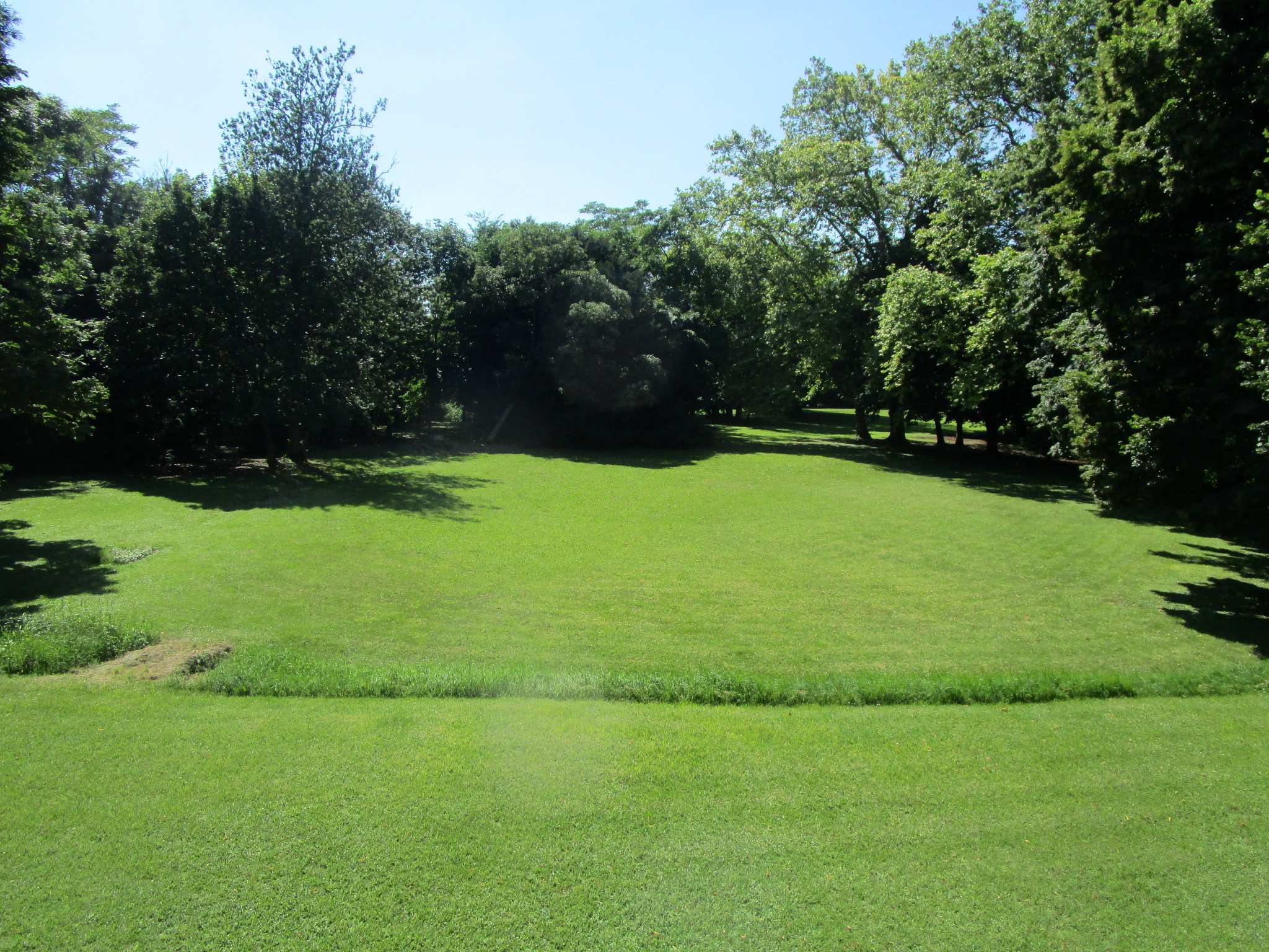 La grande pelouse du parc bordée d’arbres