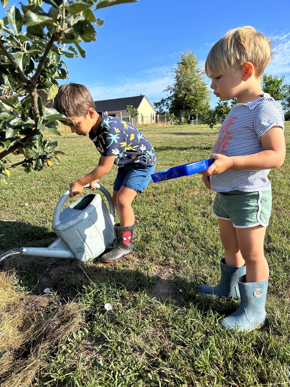 Les enfants au potager