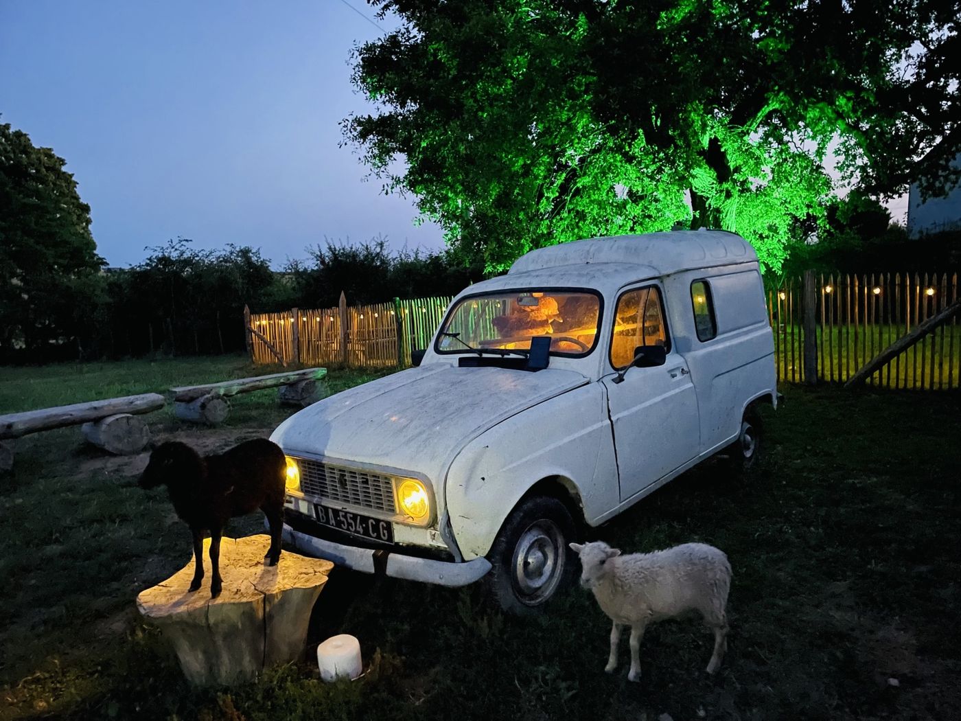 La 4L et les moutons le soir