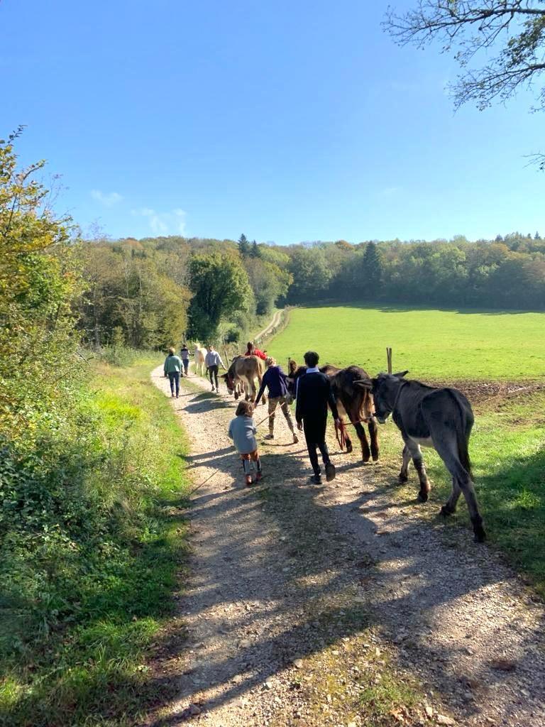 Le groupe en chemin avec les ânes, sur un sentier bordé de prés